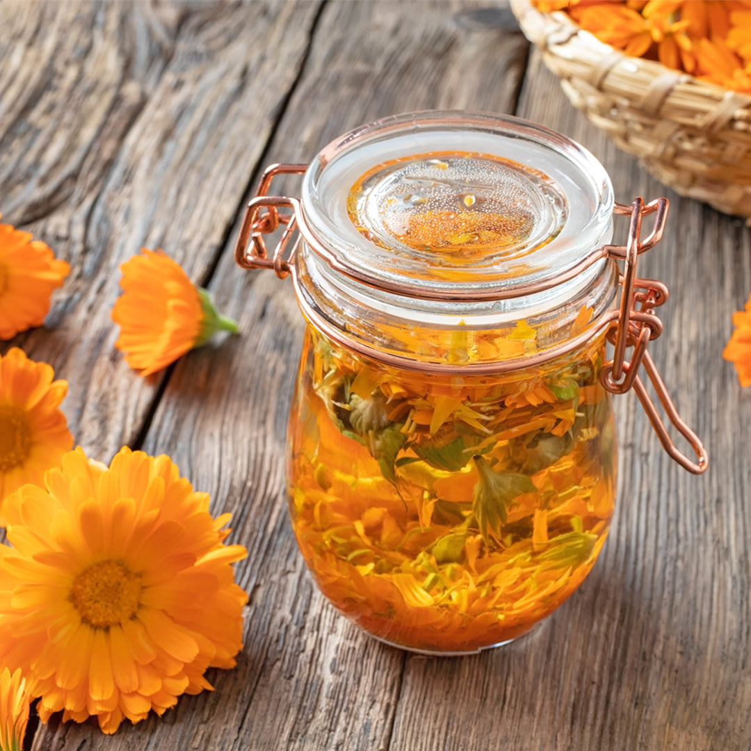 A jar of vibrant orange calendula flowers in liquid sits on a wood table. 