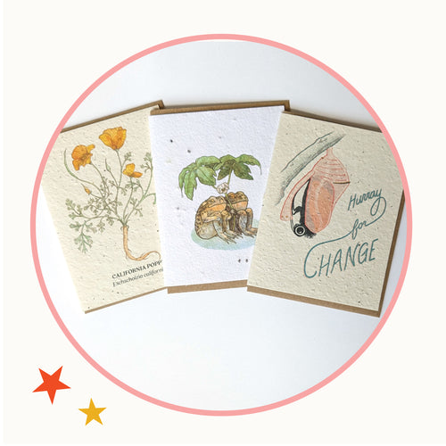 One circle with a red outline. Inside the circle are 3 cards. The first card is has illustrated California Poppies, the middle card is white has has an illustration of two frogs sitting under a tree, the last card is a butterfuly emerging from it's cocoon and it says 