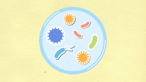 microbes in a petri dish