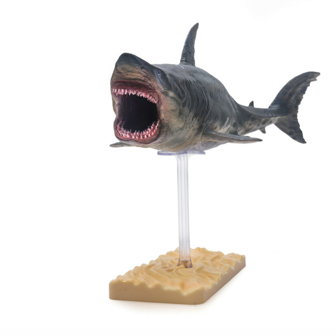 PNSO Patton the Megalodon Figure – Lana Time Shop