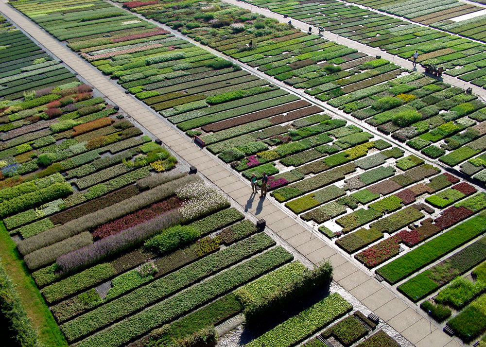 Een luchtfoto van Kwekerij Lageschaar