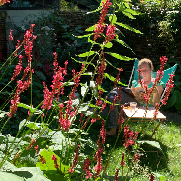 Annette leest in eigen tuin 