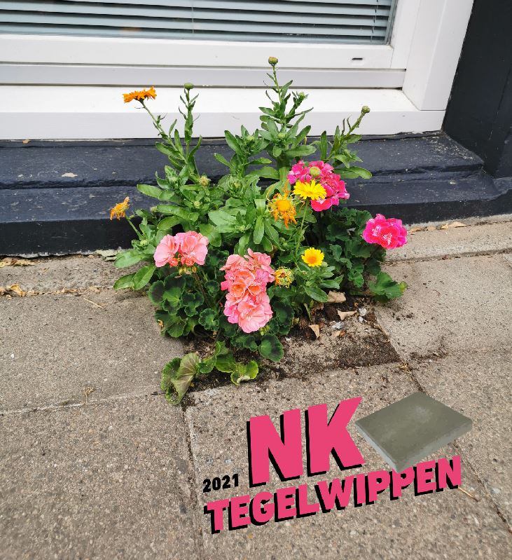 nk tegelwippen