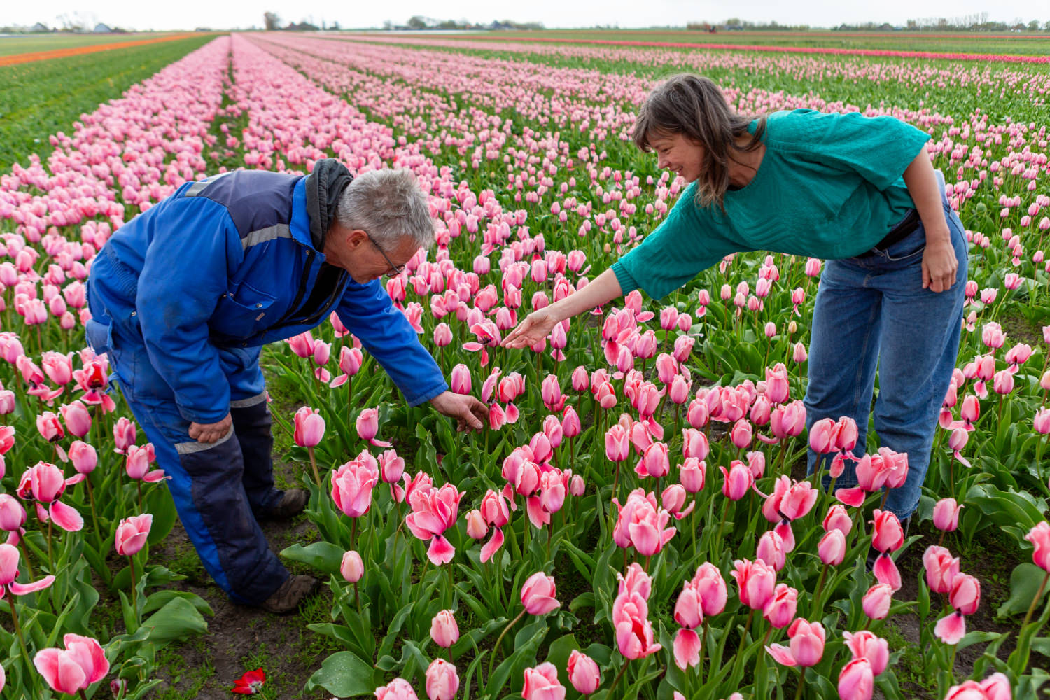 john huiberts en liedewij tussen de tulpen