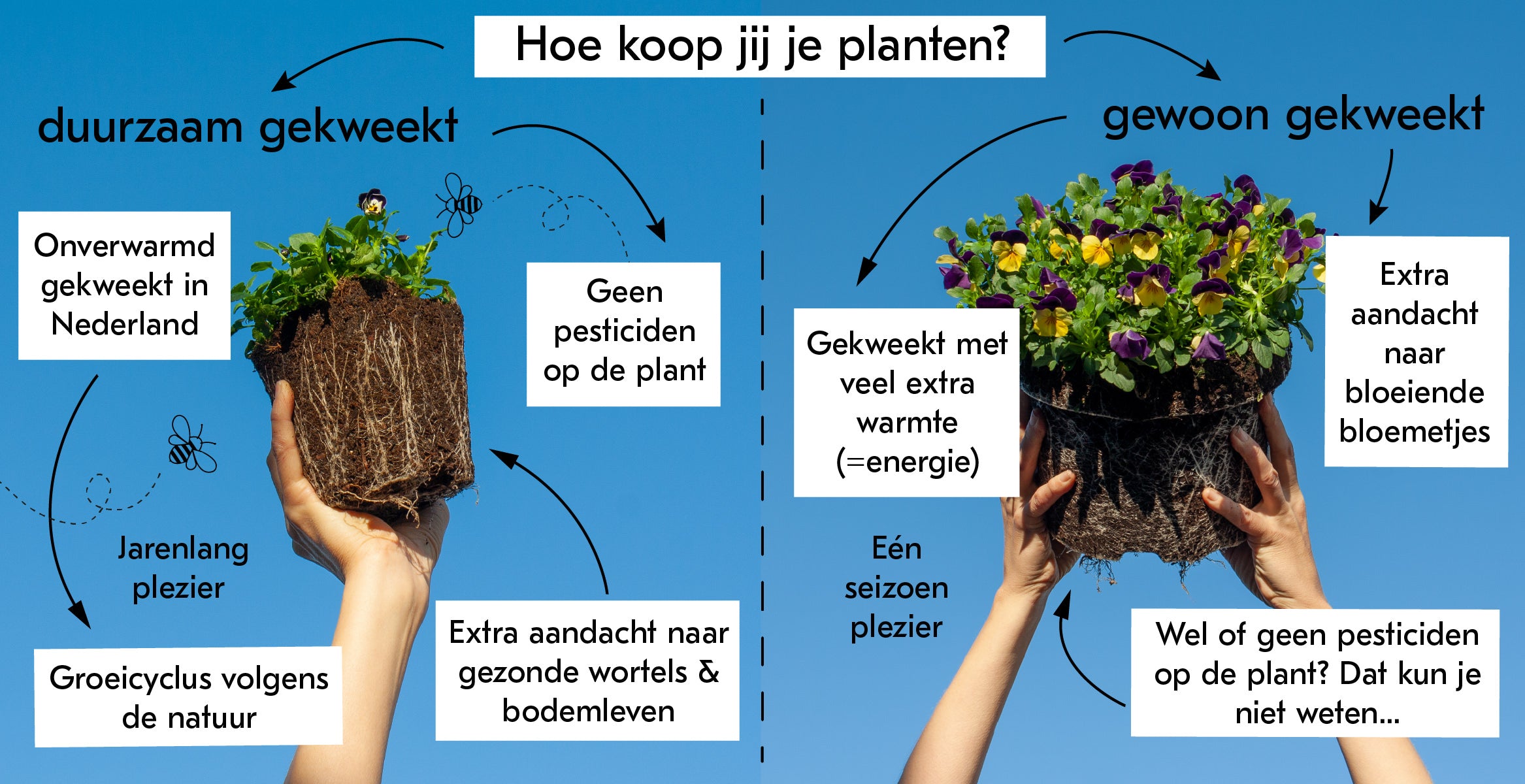 infographic perkgoed