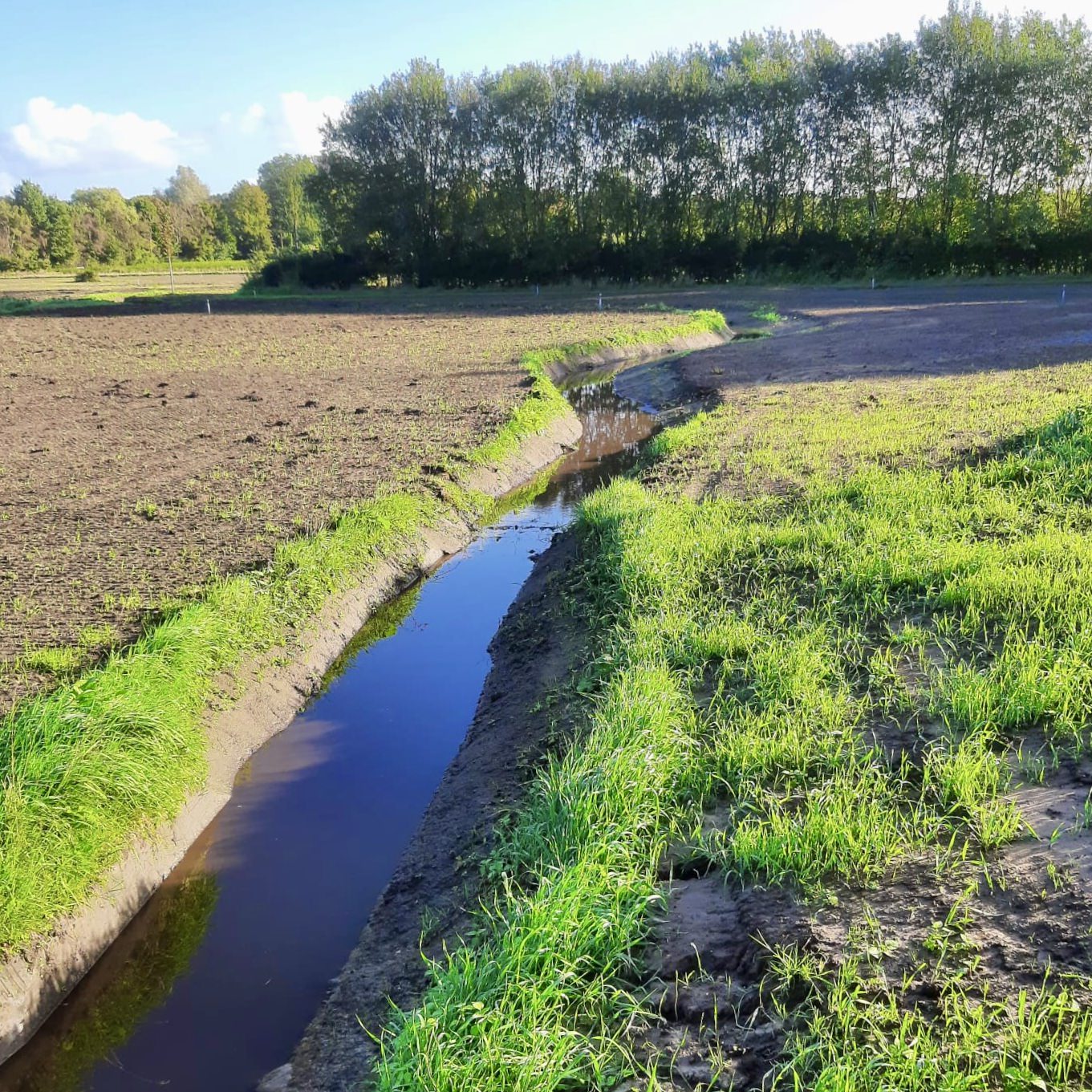 wadi op de kwekerij, lange sloot van water