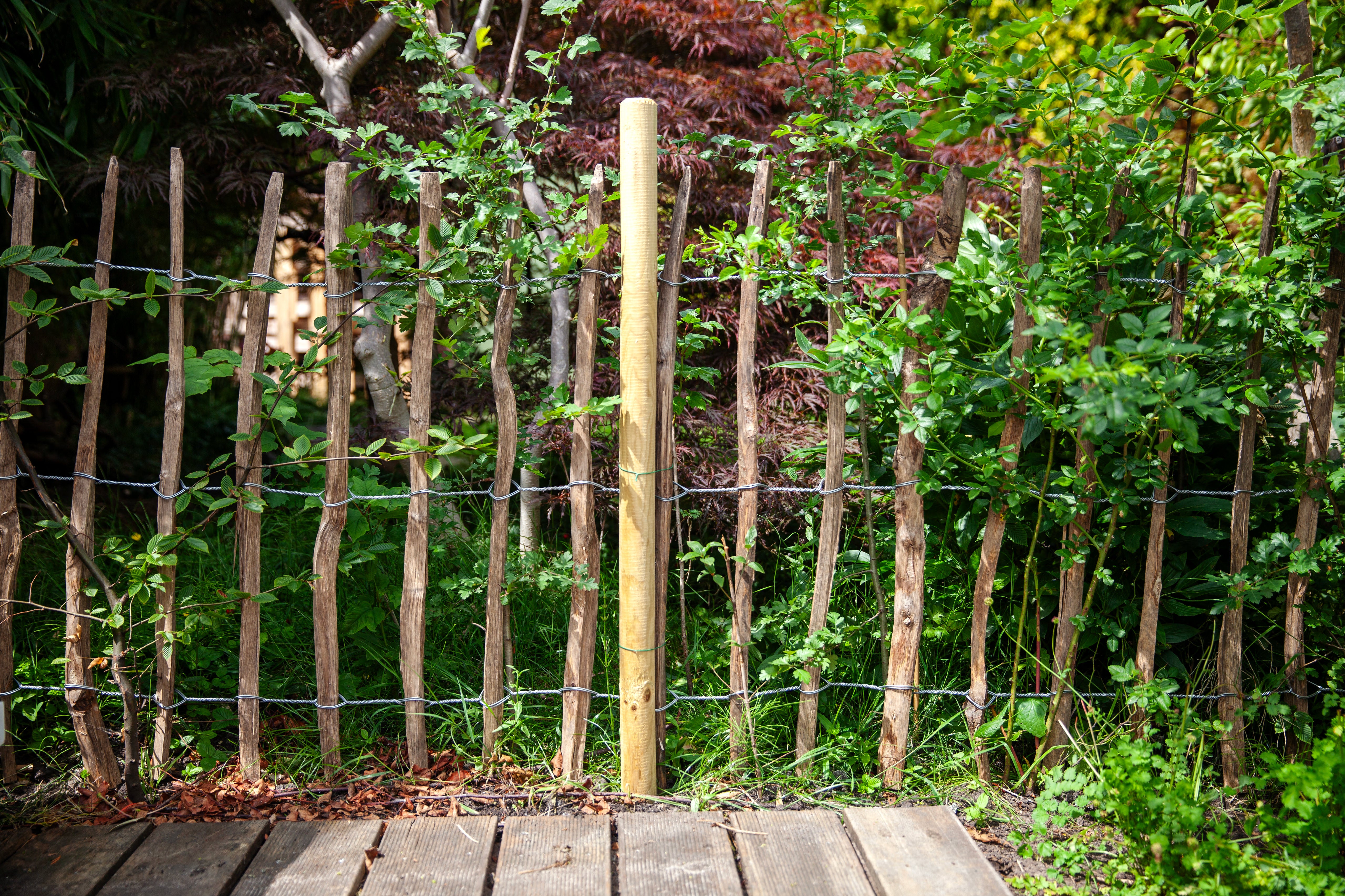 tuiny haag, heesters op een rijtje met een houten hekje