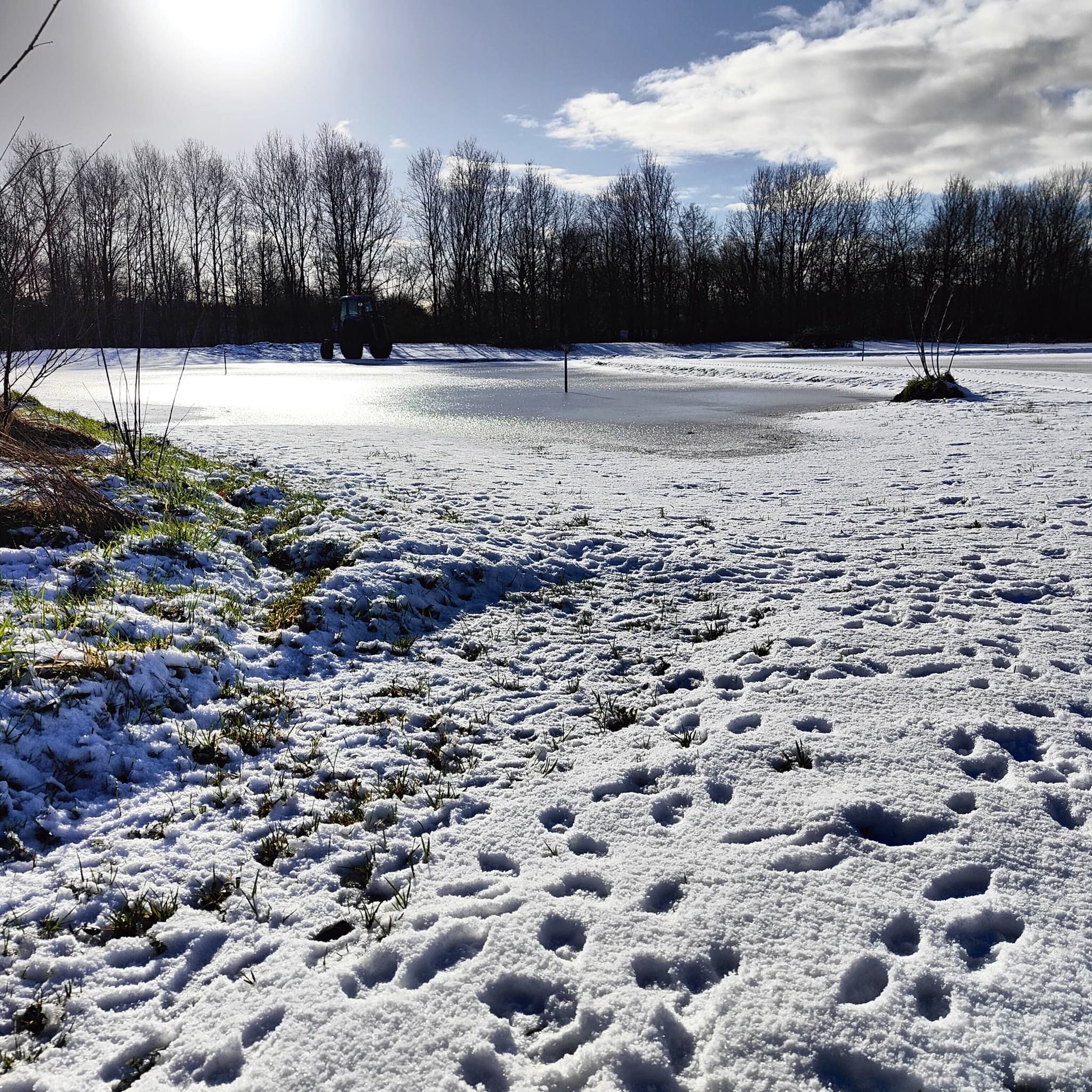 besneeuwd landschap met hoefdrukken en een wadi