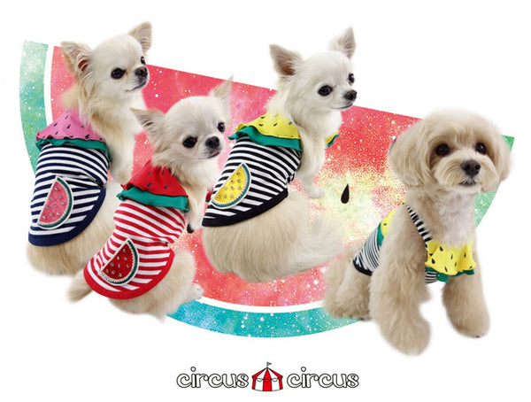 犬の服 すいかキャミ 涼感加工 Circus Circus サーカスサーカス クールウェア Ccw 0166 ドッグウェアのciera Shopify店