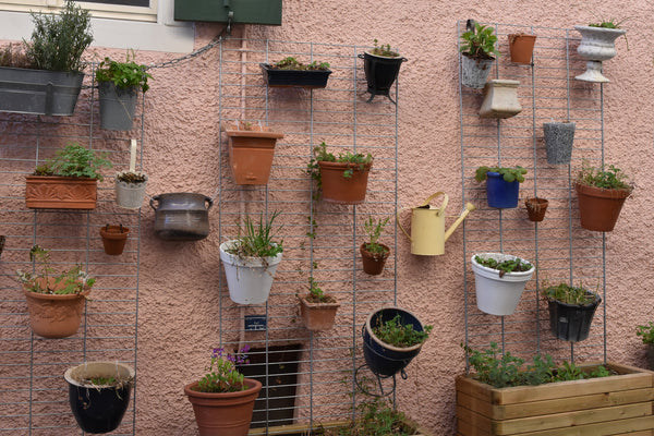 Ideen für vertikale Begrünung in einem kleinen Garten