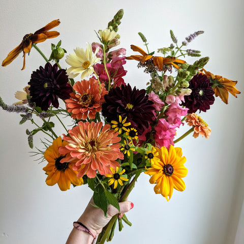 Wild Flower's weekly flower subscription. Serving ardsley, white plains, eastchester, bronxville, ossining, chappaqua, dobbs ferry, irvington, tarrytown, sleepy hollow and hastings-on-hudson NY