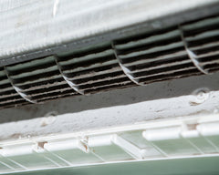 Mold in Air Conditioner Mini Split