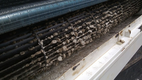 Air conditioning units and Aspergillus