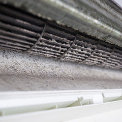 Mold & Mildew Making Your AC Smell