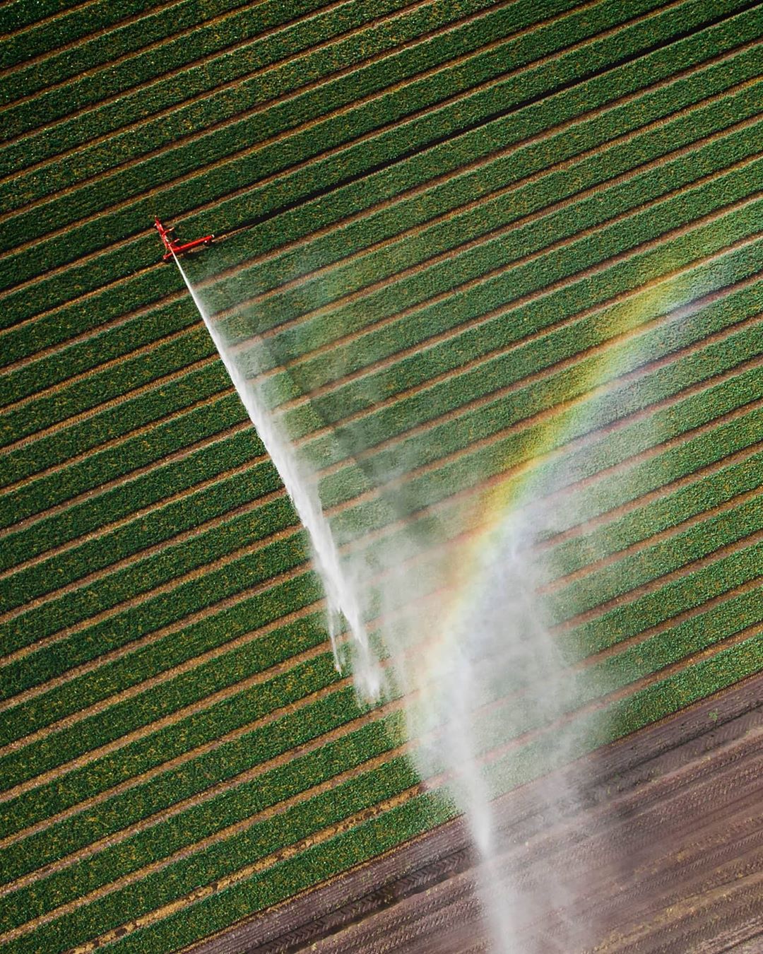 Drone fotografie platteland