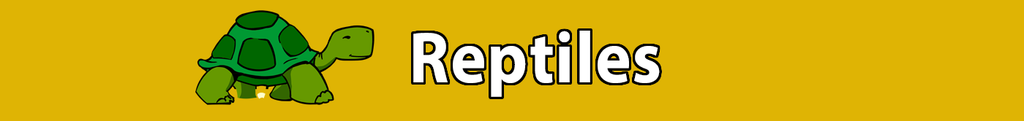 NEW Zoo Online Store - Reptiles