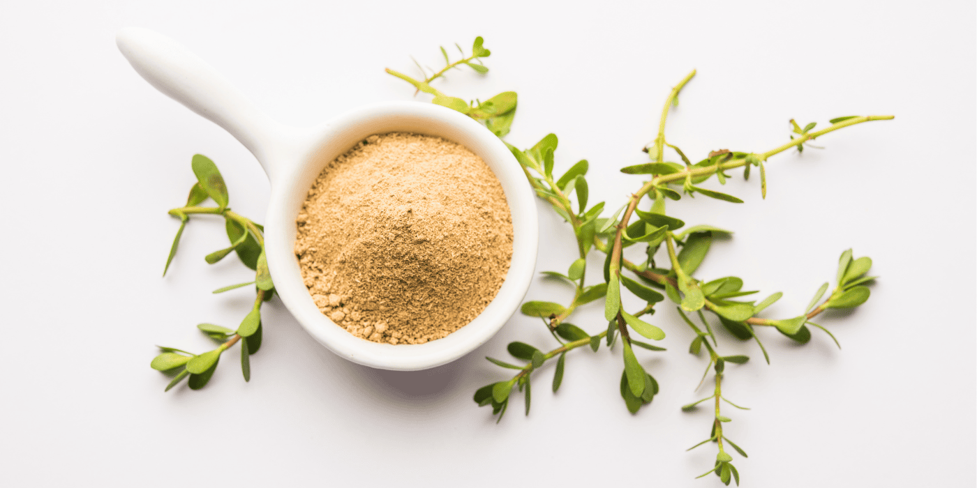 Ayurvedisches Kraut Brahmi in einer Schüssel zusammen mit seinem Blätter