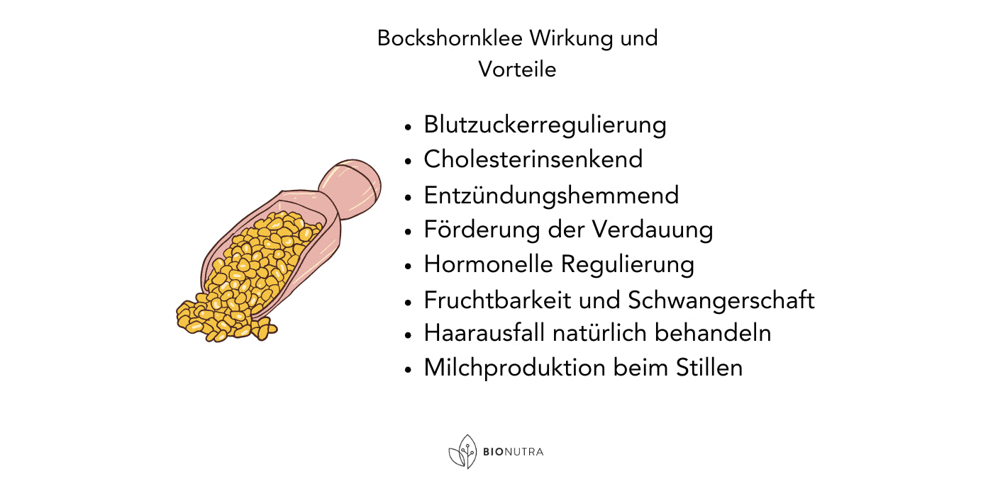 bockshornklee wirkungen