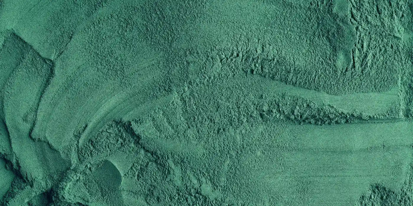 Chlorella- und Spirulina – Mikroalgen mit hohem Gehalt an Proteinen, Chlorophyll und Antioxidantien zur Unterstützung von Energie und Entgiftung