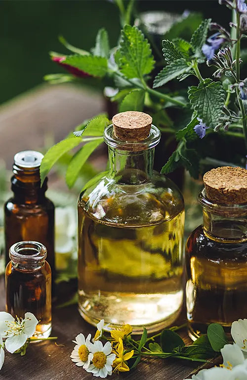 Pharmacopia Healing Benefits of Essential Oils