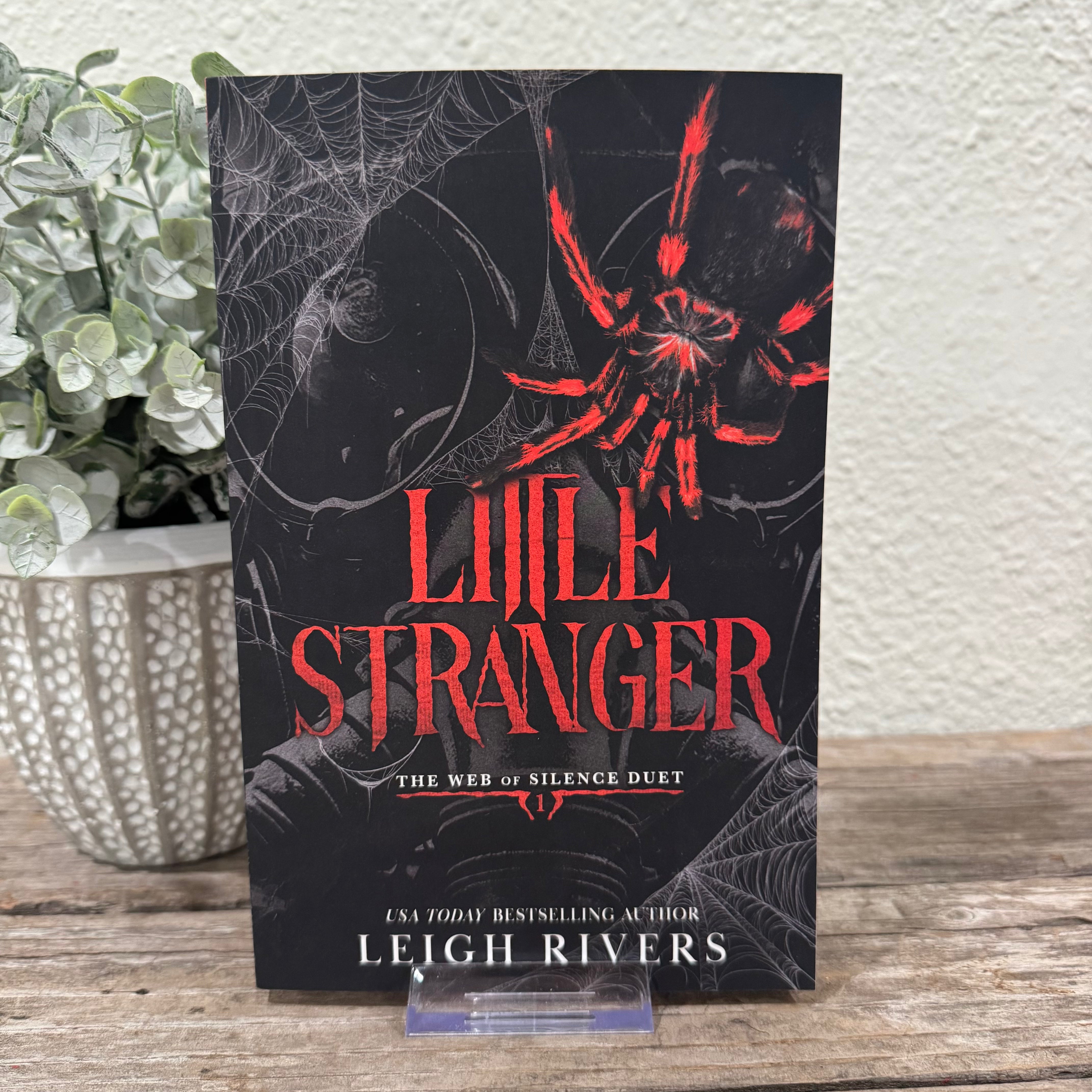 Little Stranger: The Web of Silence Duet #1