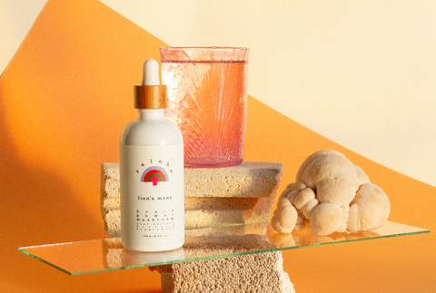 lion's mane tincture white bottle with bamboo cap and fresh white lion's mane pom pom mushroom against orange backdrop