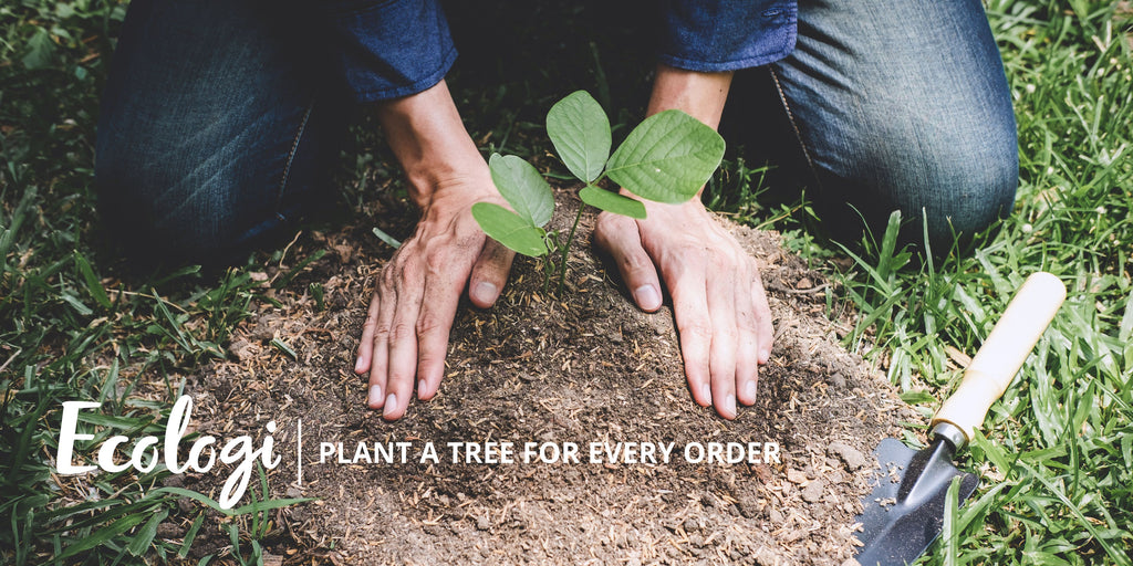 Ecologi - Plant a tree for every order