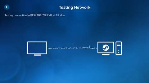 Allow Wemax Vogue Pro Steam link app to check network