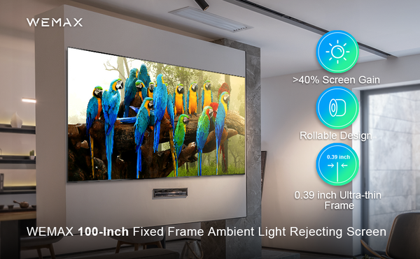 WEMAX Projector Screen Material Indoors