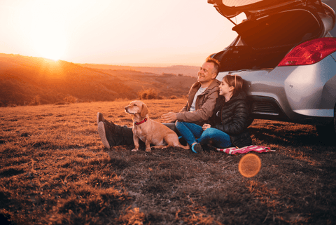 Portable Projectors Make Road Trips Better