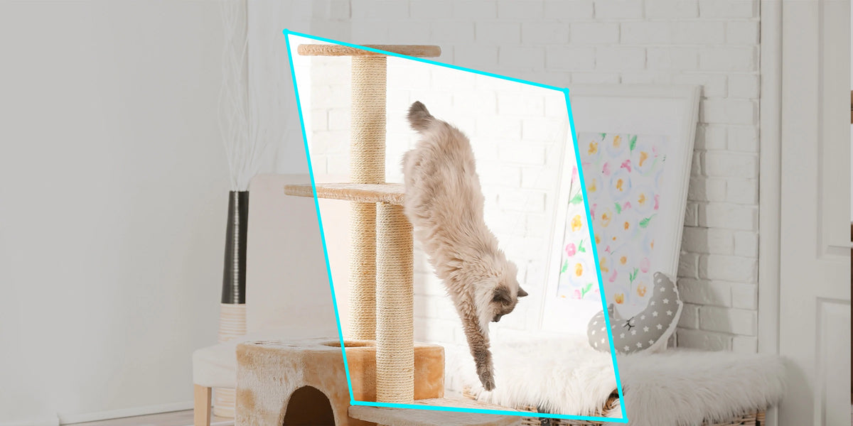 室内監視カメラ | ペットの活動範囲だけの検知を設定でき