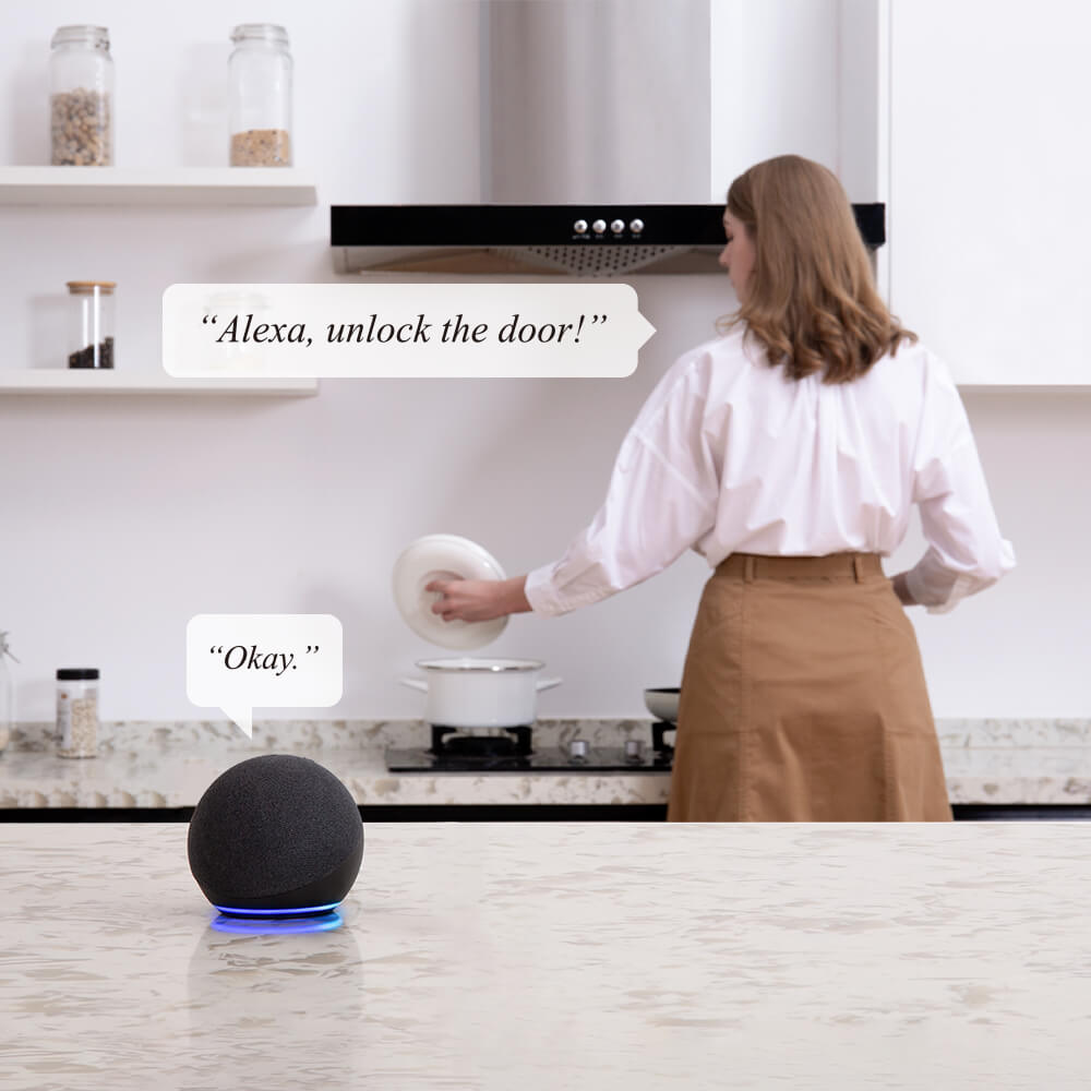 Fechadura Inteligente SwitchBot Smart Lock