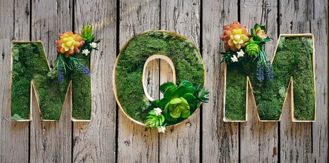 preserved moss uk , preserved moss art , moss words on wall , moss logo png , moss logo design , moss logo , Moss letters , moss covered letters for wedding