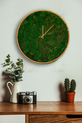 moss clock, wall clock, green clock