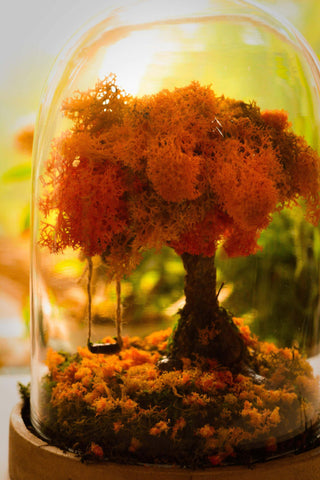 autumn terrarium, autumn art