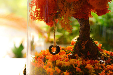 autumn terrarium, terrarium art