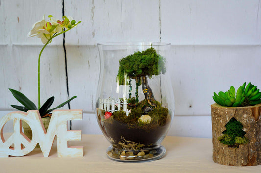 Preserved Moss Terrarium  RishStudio mossartbyrishstudio