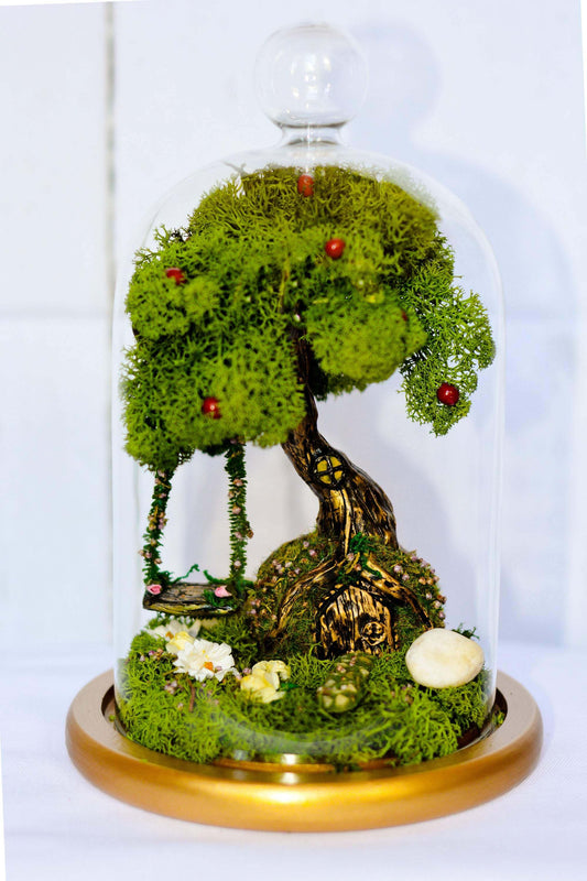 Terrarium kit  Fairy Garden DIY Kit with living Moss RishStudio