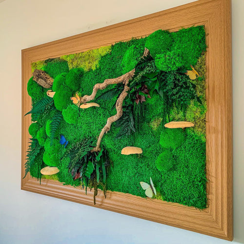 Moss Wall Art, Barn Wood Frame, Moss Art Work, Moss Art, Preserved Moss  Art. 