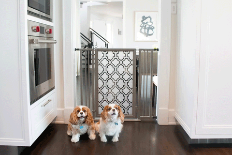 Chelsea & Fanny proudly introducing the new Satin Nickel finish on the Fusion Gate. 