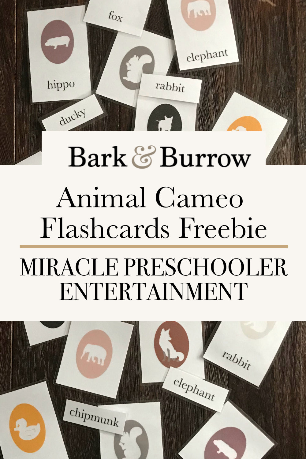animal cameo flash cards freebie miracle preschooler entertainment pin