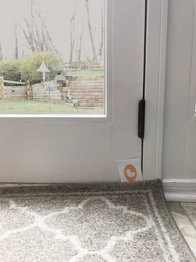 rubber ducky cameo flashcard in front of door