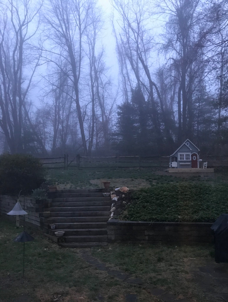 playhouse in terraced yard on foggy day