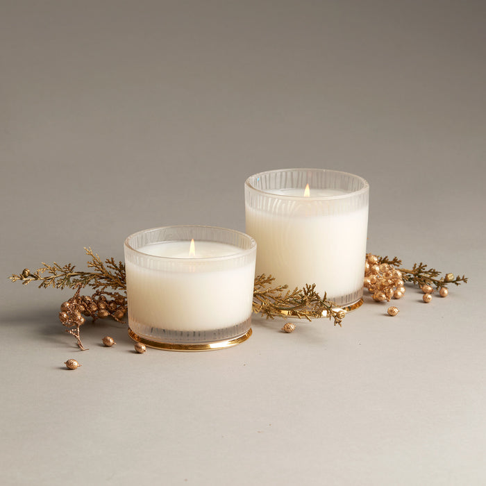 Frasier Fir Large Pine Needle Luminary Candle | Thymes