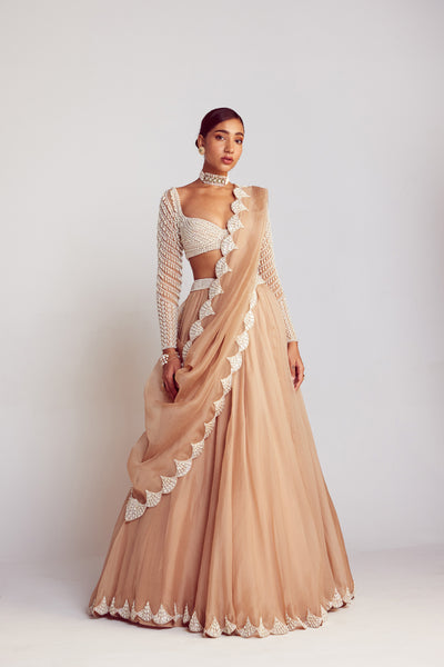 Buy Grey Organza Pleated Lehenga With Attached Dupatta And Blouse For Women  by Nitika Kanodia Gupta Online at Aza Fashions.