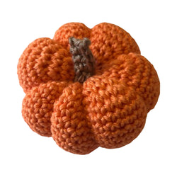 https://cdn.shopify.com/s/files/1/0336/0984/2826/products/Free-Crochet-Pattern-for-Pumpkin-Halloween-Decoration_250x250.jpg?v=1667214477
