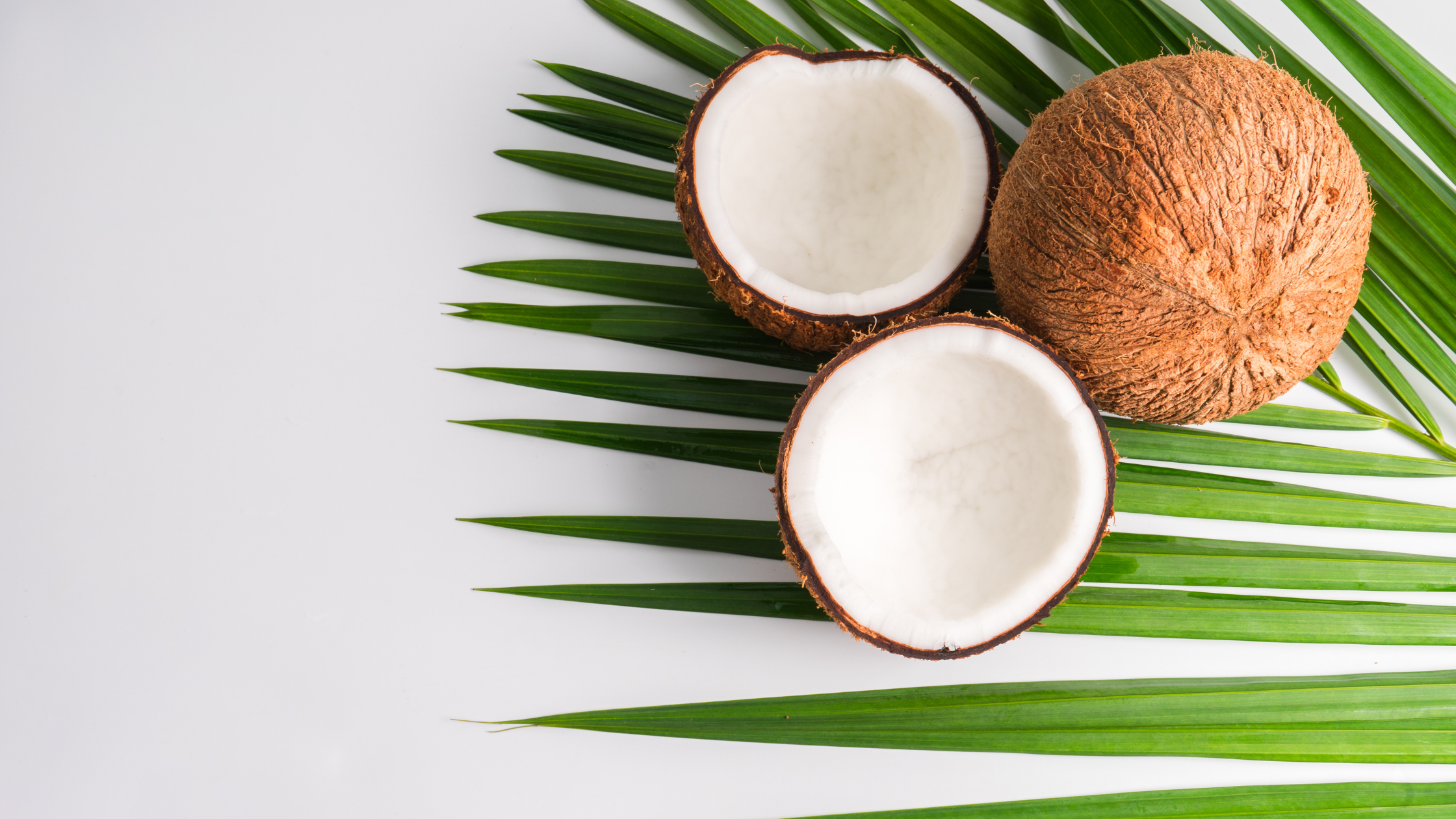 coconut open with leaf