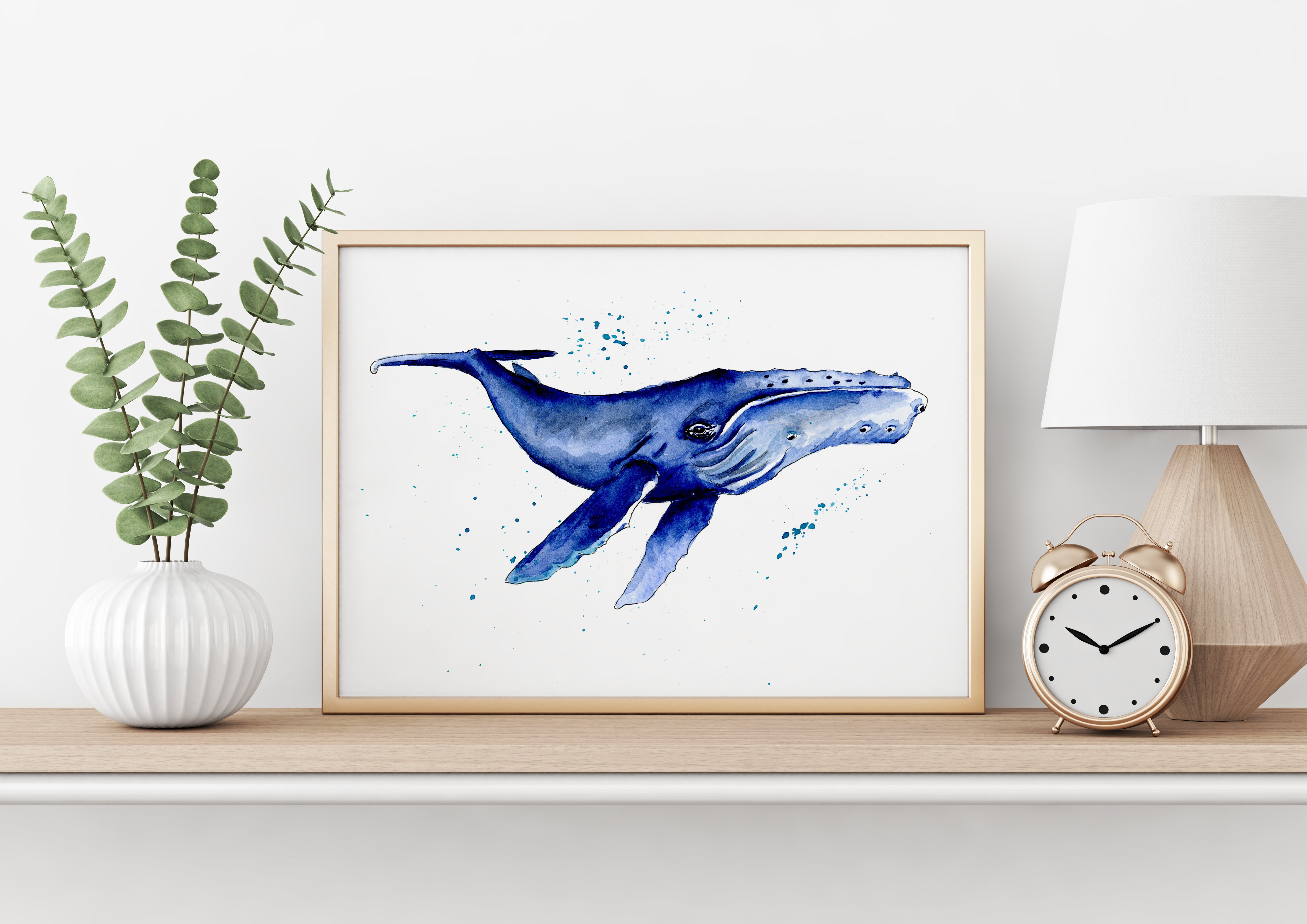 Humpback whale watercolour | Shantele Ianna Art | Reviews on Judge.me