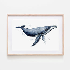Humpback whale poster