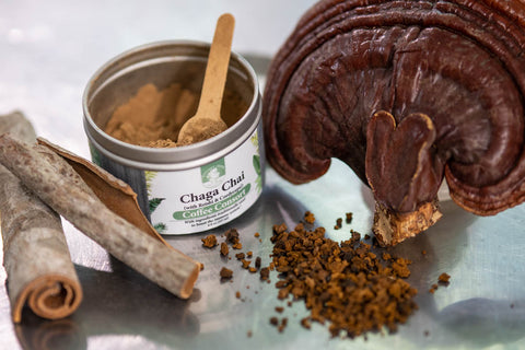 A cylindrical tin full of a warm brown powder, with a bamboo spoon resting inside, surrounded by a large reishi mushroom to one side, a pile of ground chaga mushrooms in front, and two pieces of cinnamon bark to the left, on a stainless steel surface.